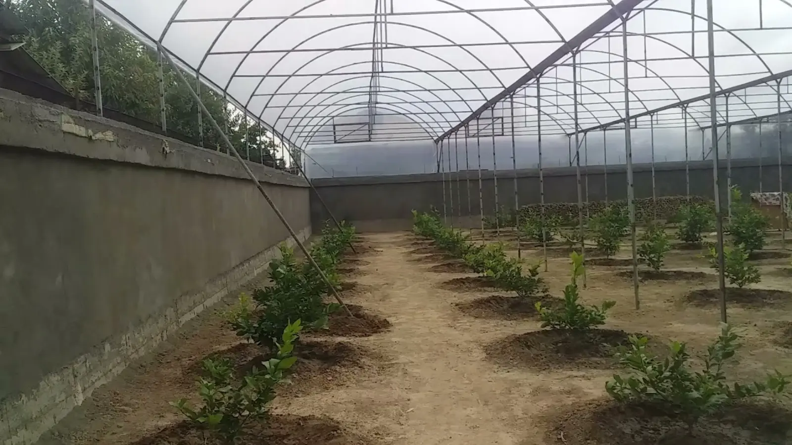 Modern seralar genişleyecek ve gıda arzı güçlenecektir