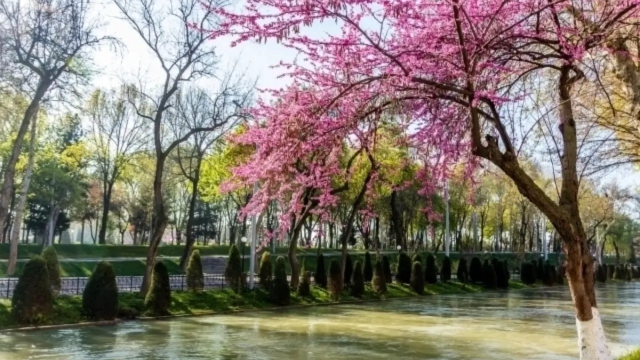 Ertaga havo 32 darajagacha ko‘tarilishi kutilmoqda