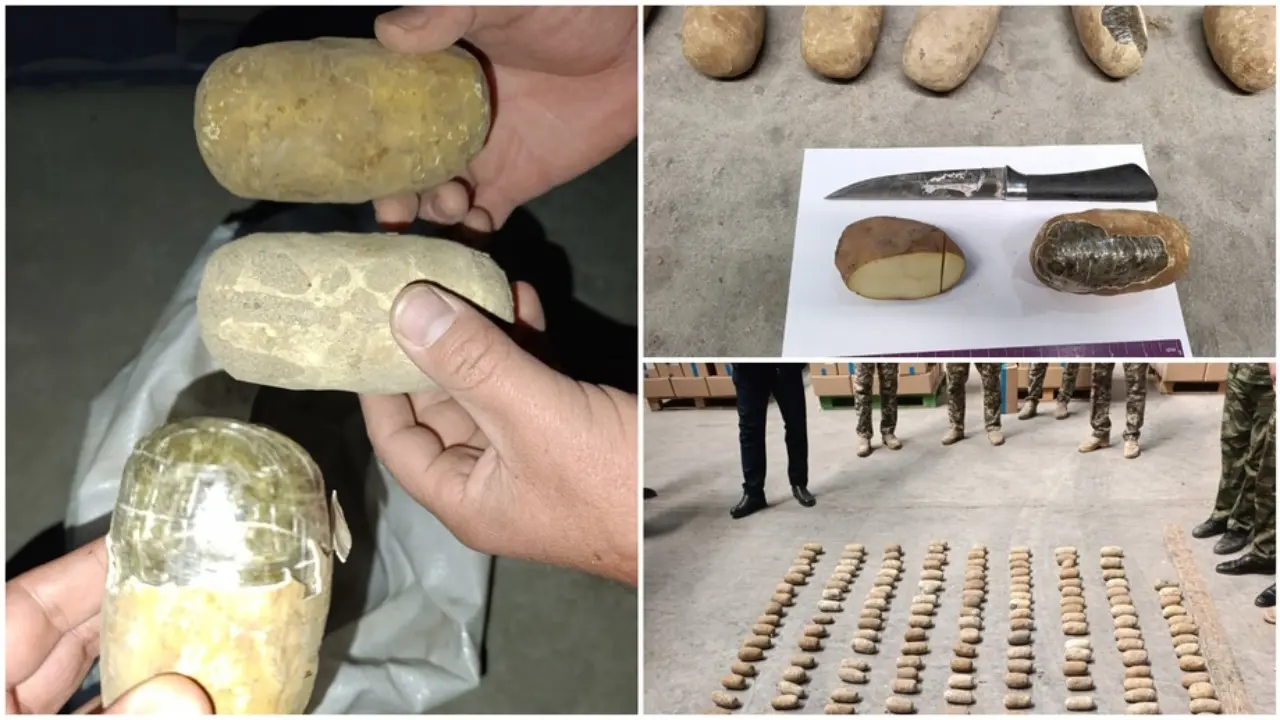 Termizda kartoshka ko‘rinishidagi giyohvandlik moddasi fosh qilindi