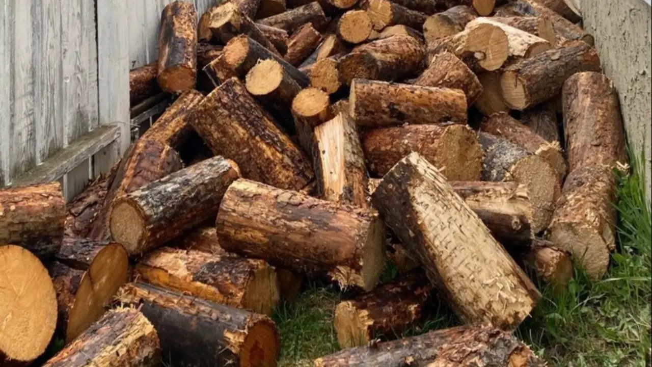 Таяу Шығыстағы қақтығыс Үндістанда энергетикалық дағдарысты тудырды