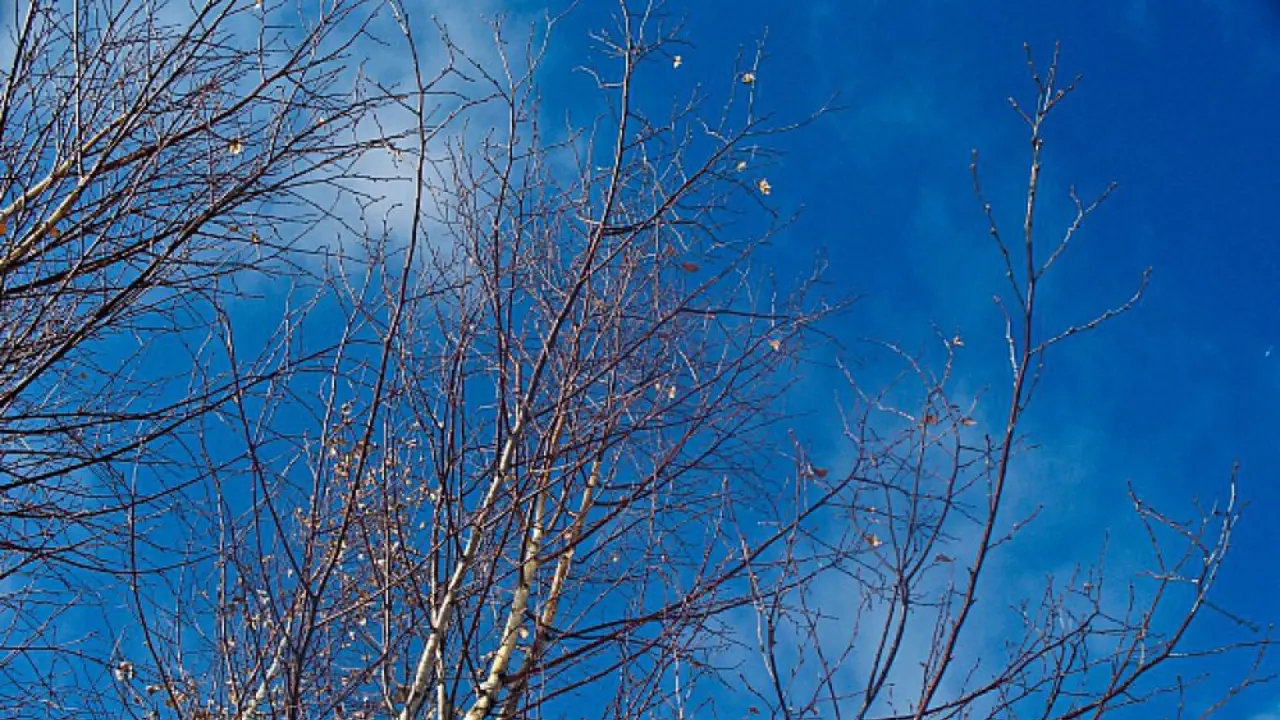 15 наурызда ауа райы қандай болады?