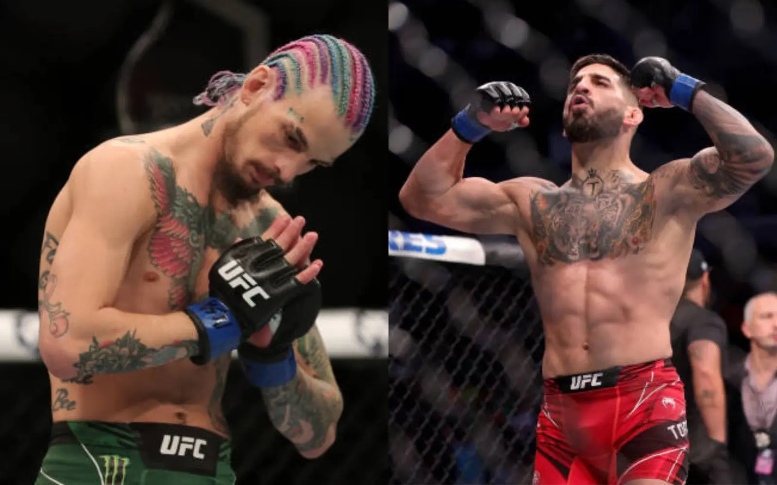 O’Melli Topuriyani maqtadi: uning ketma-ket nokautlar seriyasi kuchli