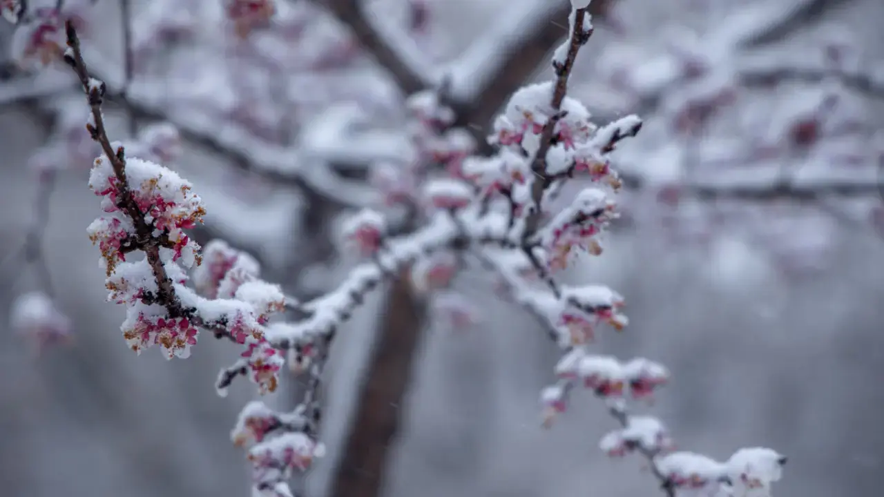 Бүгіннен бастап Өзбекстанға суық антициклон кіреді