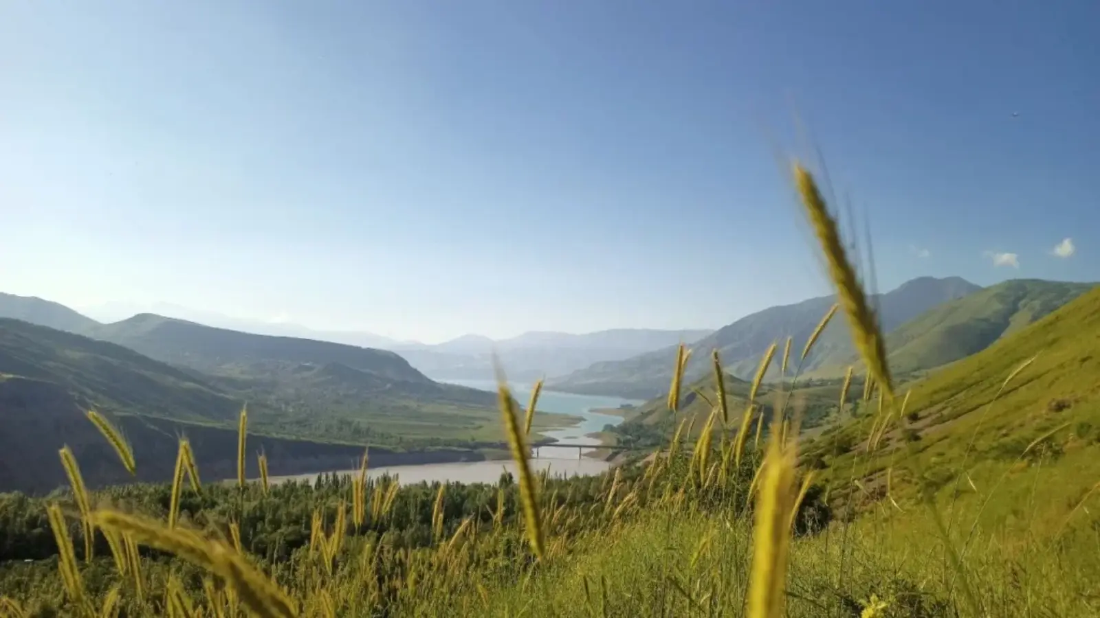 O‘zbekistonda hafta oxirida asosan quruq va iliq havo kuzatiladi