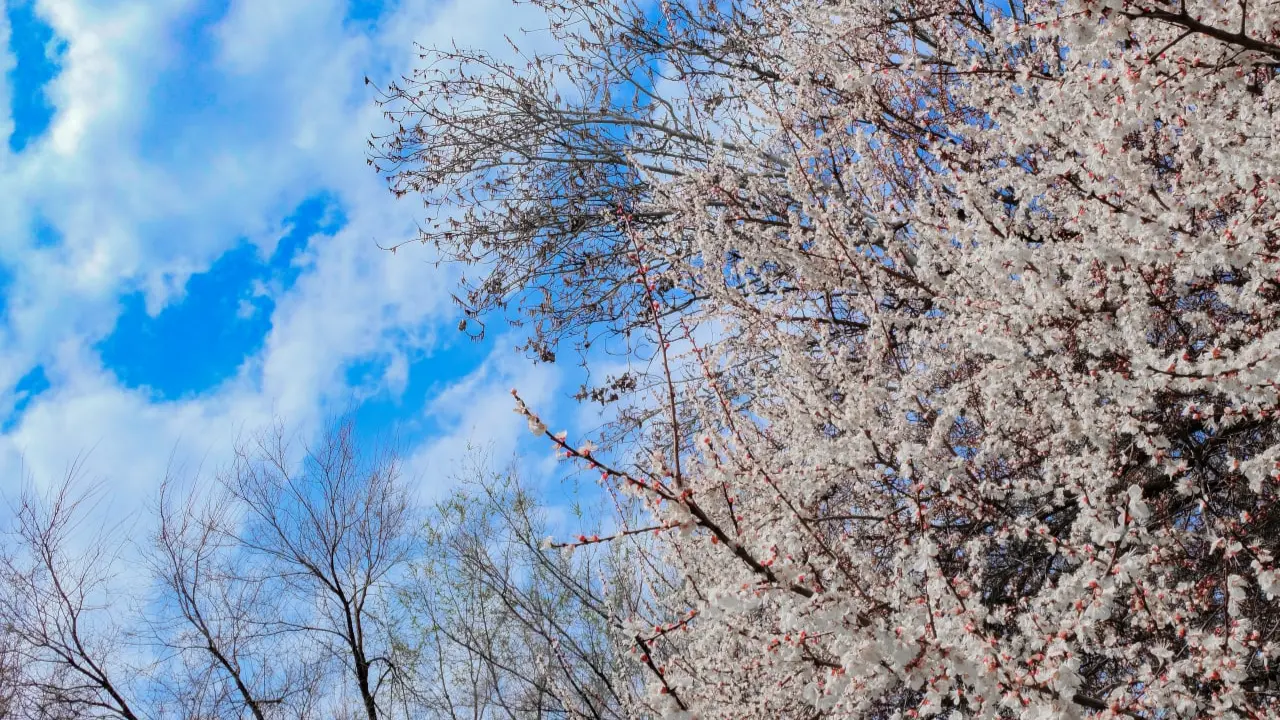 Hafta boyunca hangi bölgelerde yağmur bekleniyor