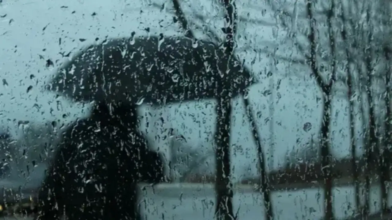 5 март куни Ўзбекистонда қандай об-ҳаво бўлади?