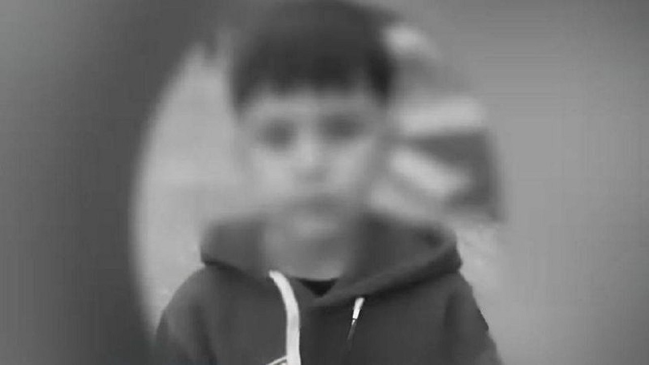 Ангренда дайди итлар 8 ёшли болани талаб ташлади