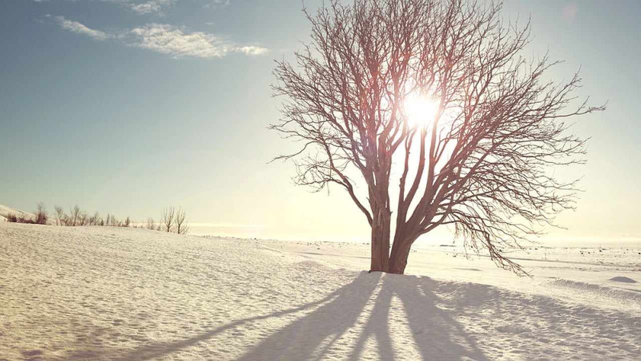 Qozog'iston hududlarida harorat 30 darajagacha pasayadi