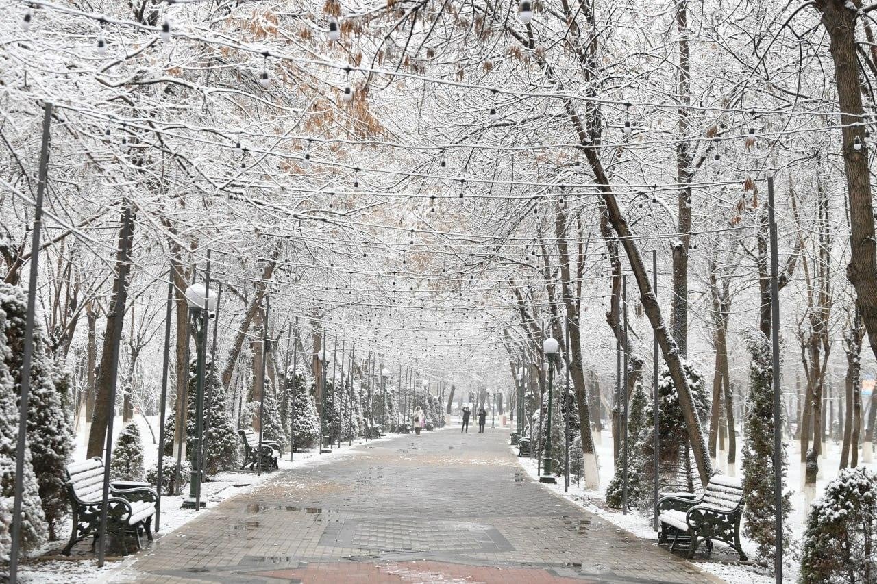 Елордада ауа температурасы 13 градусқа дейін көтеріледі