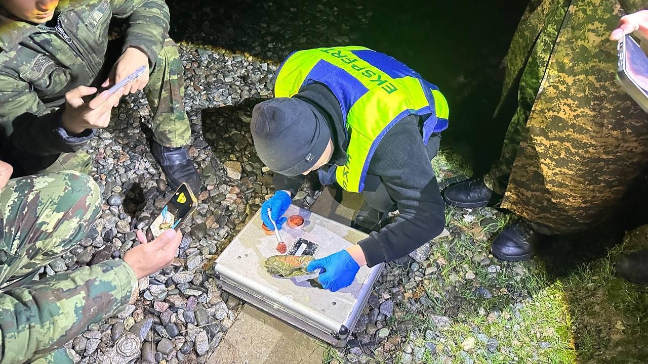 Сариосиёда марихуана олиб ўтишга уриниш фош этилди