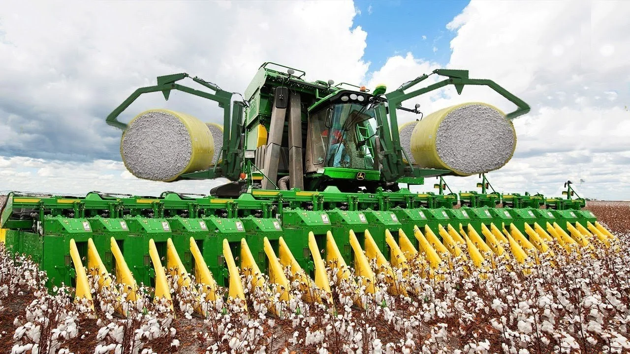 Үкімет мақтаның 70 пайызын механикаландырылған әдіспен жинамақшы