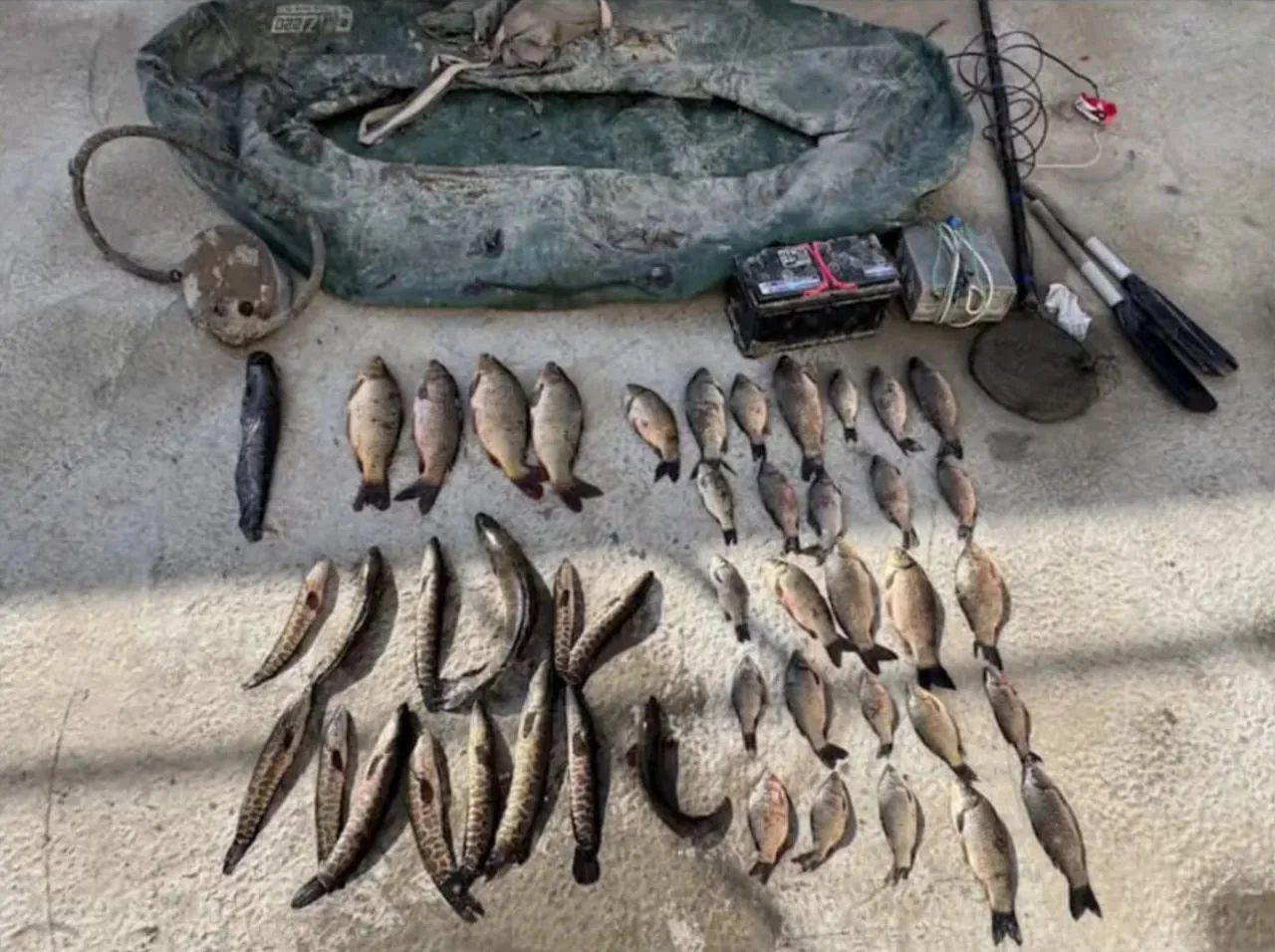 Sirdaryoda brakonerlikka qarshi keskin choralar ko‘rilmoqda