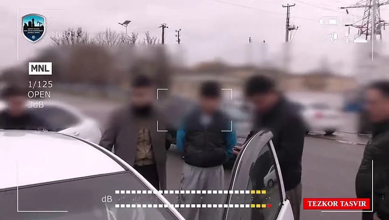 Sirdaryo viloyatida yirik kiberjinoyat fosh qilindi