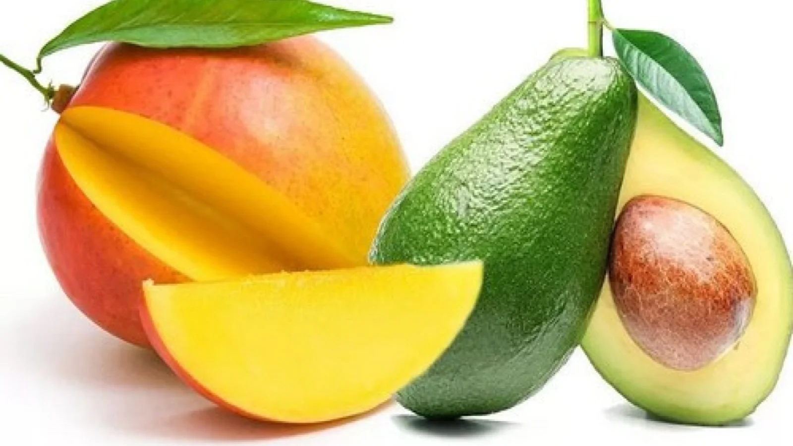 Avokado va mango yurakni himoya qilib, xavfni kamaytirishi aniqlandi