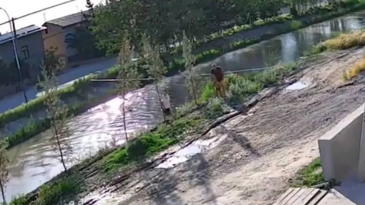 Namangan'da kanala düşen 3 yaşındaki çocuk kurtarıldı