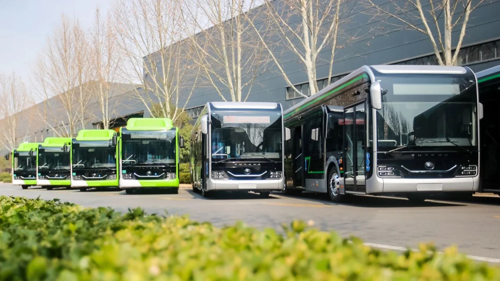 Taşkent'e 240 Otobüs Getiriliyor, 16 Yeni Hat Açılıyor