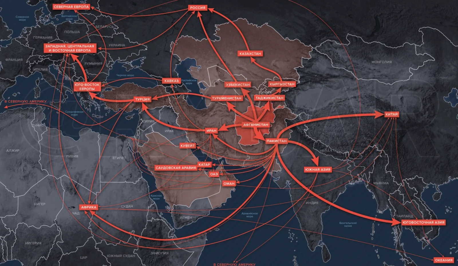 Афғонистон наркотрафикка қарши курашнинг яширин рақамларини очиқлади