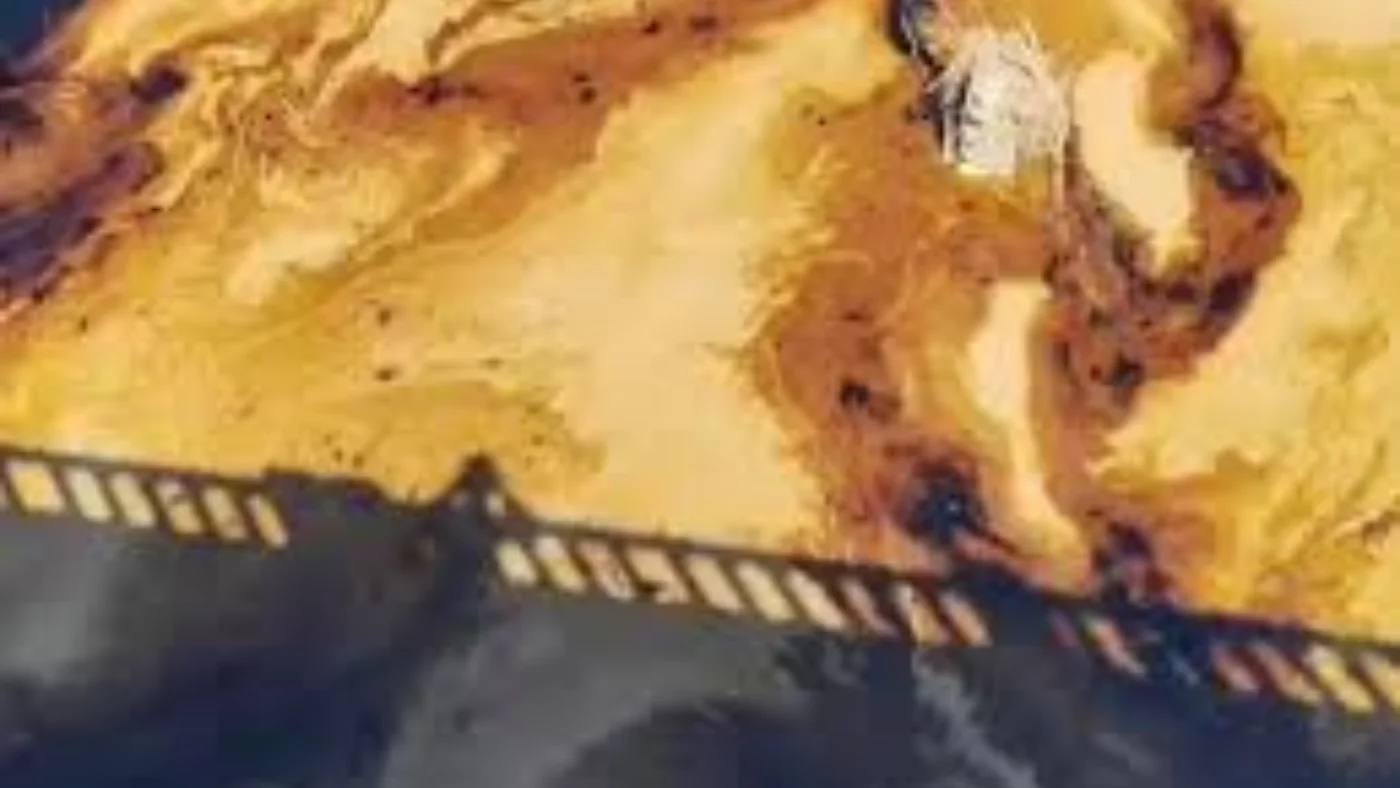 Surhanderya'da şiddetli sel nedeniyle nehir sularına petrol karıştı