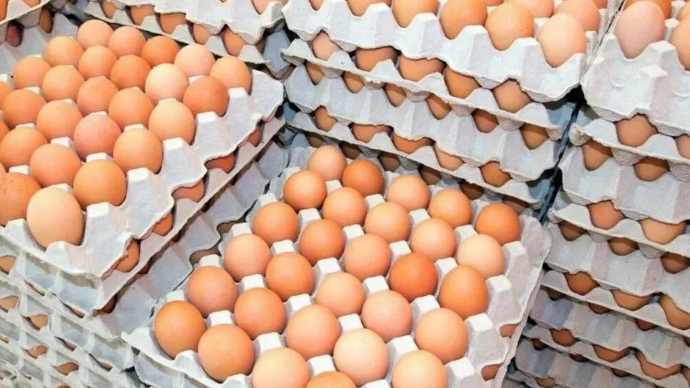 Қазақстан жұмыртқа импортына алты айлық тыйым салды