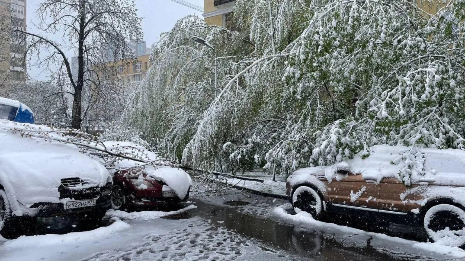 Nieva en Moscú: fuertes vientos interrumpen la vida cotidiana (video)