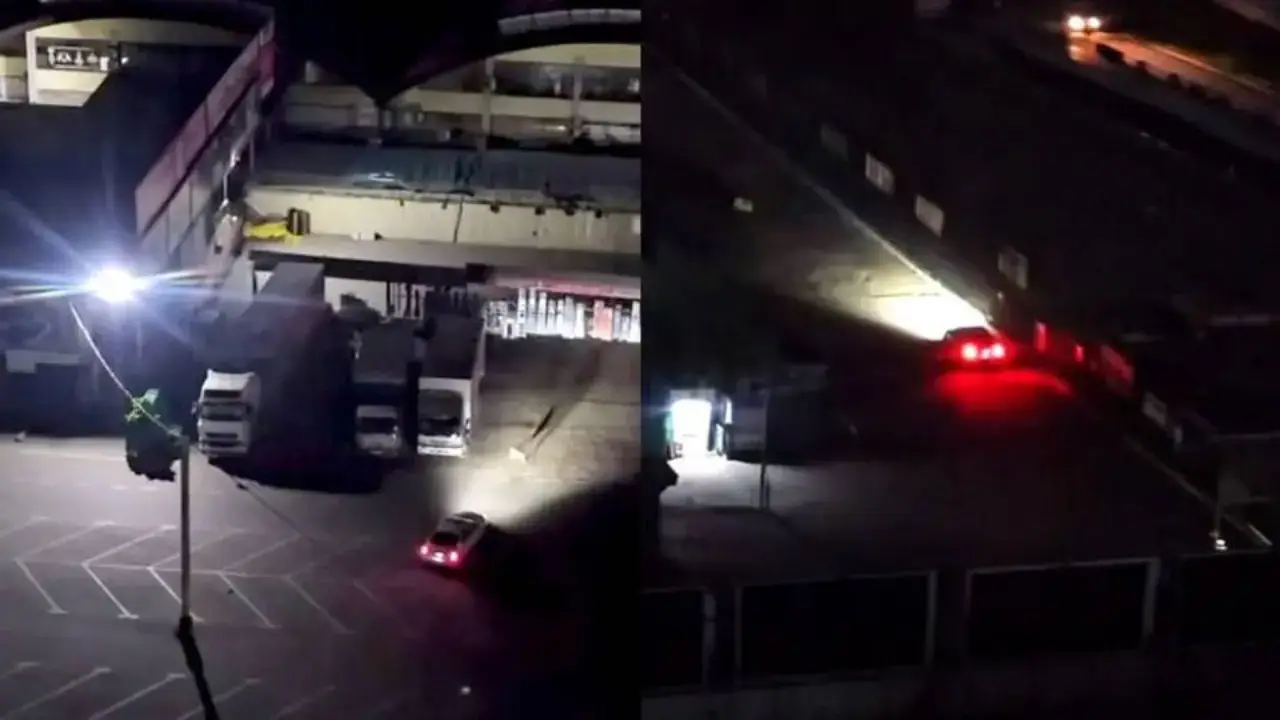 Taşkent’te köpeklerin üzerinden araba sürenler mahkemeye verildi