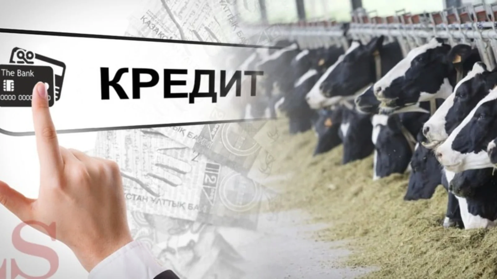 Sirdaryoda salkam 3 mlrd soʻmlik kredit talon-toroji fosh etildi