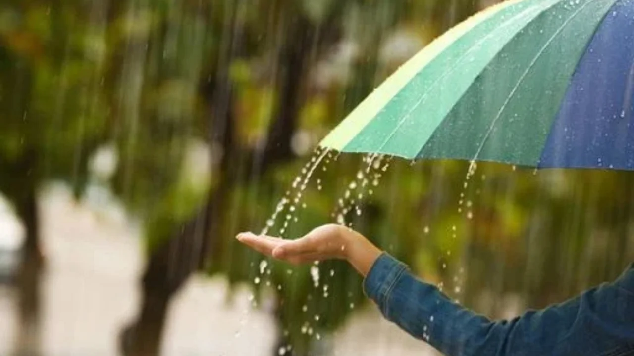 1 май куни ёмғир ва шамол кутилмоқда