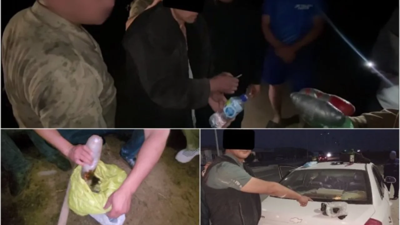 Ikki hududda Afgʻonistondan keltirilgan yirik opiy partiyasi fosh etildi