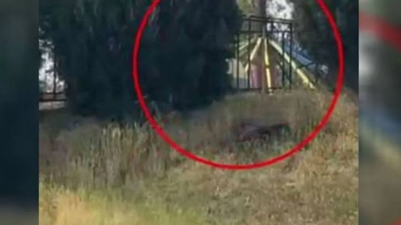 Andijondagi bogʻda attraksion qulab tushdi, odamlar jarohat oldi