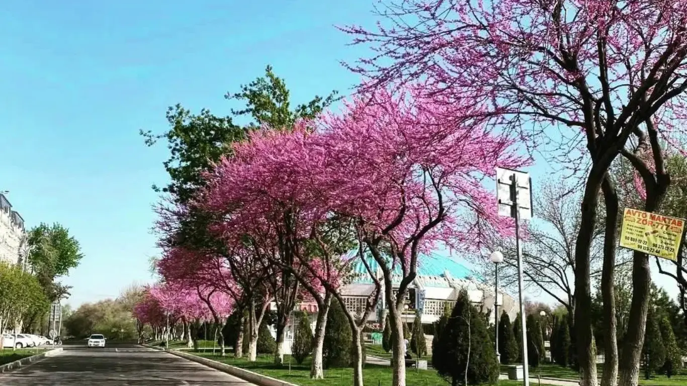 O‘zgidromet: 10 aprelga ob-havo prognozi