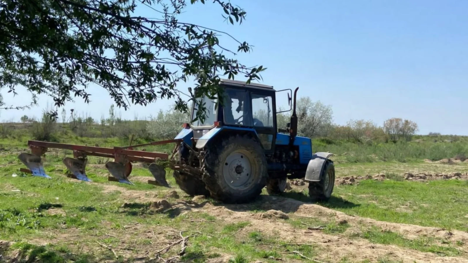 Oʻzboshimchalik bilan egallangan yer maydoni qonuniy egasiga olib berildi