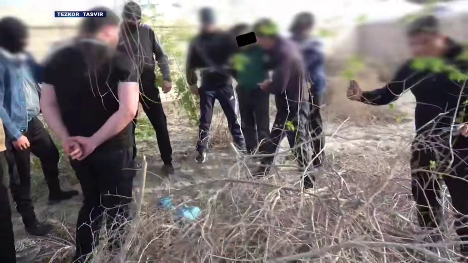 Large drug shipments seized in Surxondaryo and Khorezm