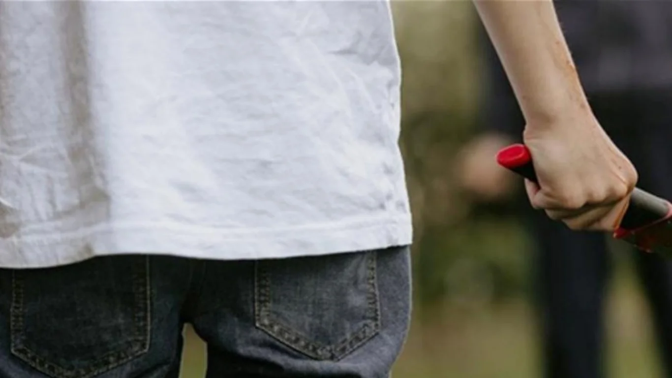 Fight at Agstafa school: 9th-grade student injures 8th-grade student