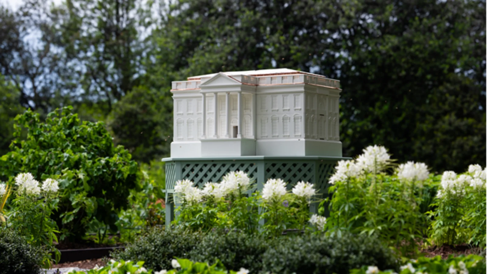 Nouvelle ruche à la Maison Blanche : les préparatifs de la visite du roi Charles III ont commencé