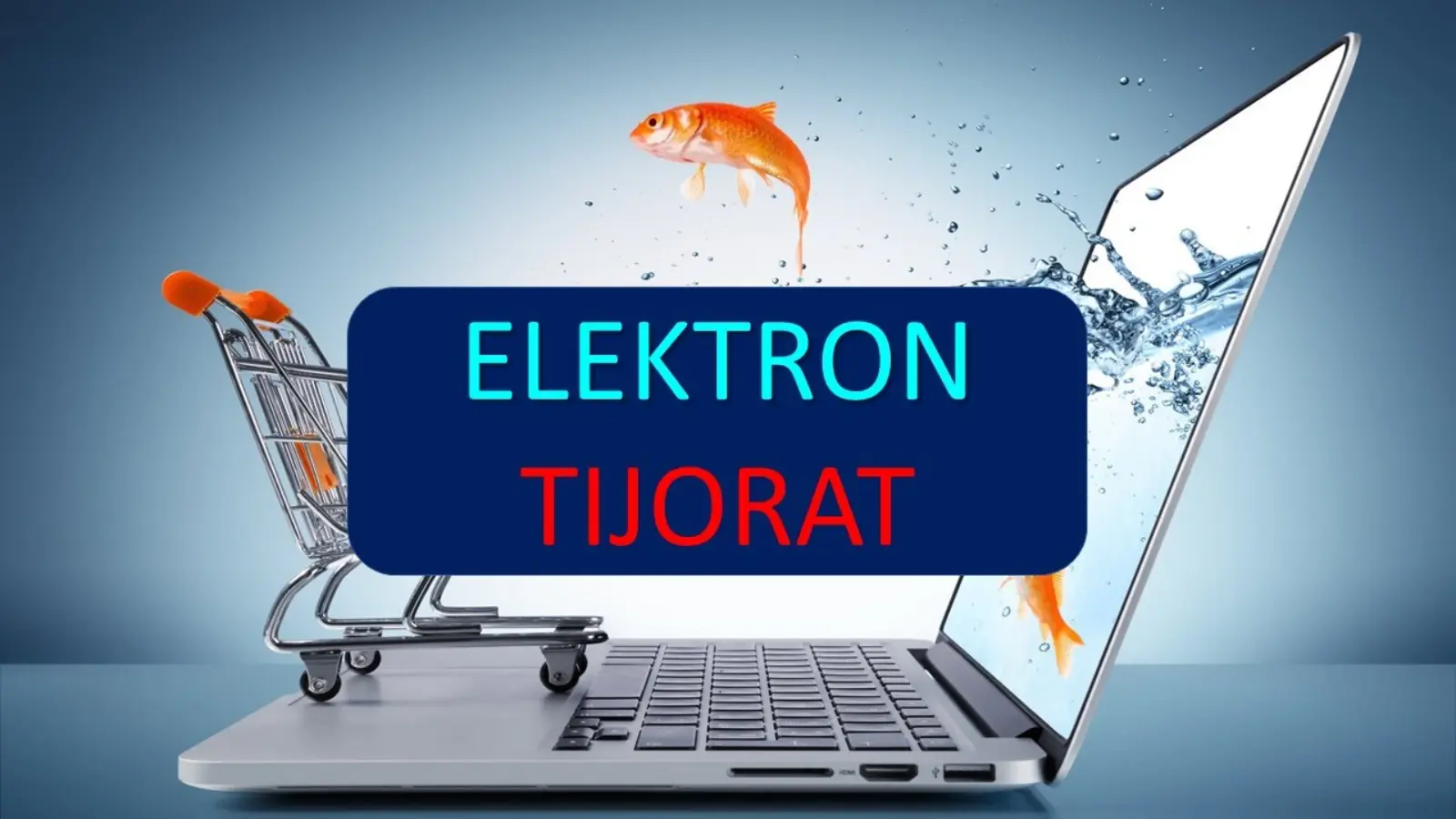 E-commerce and bond warehouses will be developed in Uzbekistan