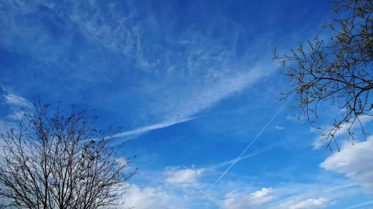 Dam olish kunlari ob-havosi: qayerlarda yomgʻir kutilmoqda?