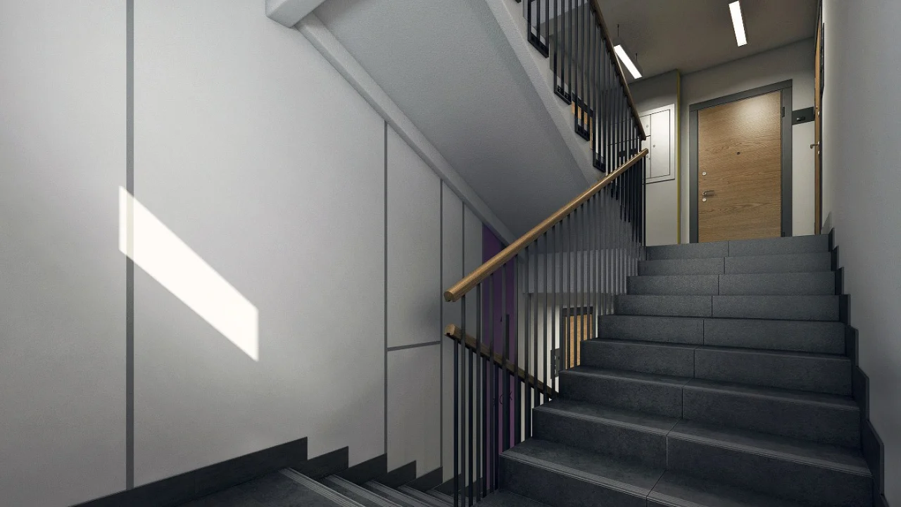 Endi podʼezdlar majburiy tozalanadi: yangi qoidalar tasdiqlandi