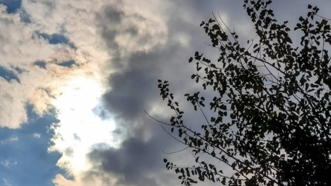 Hafta boshida issiq kuchayadi: ob-havo keskin oʻzgaradimi?