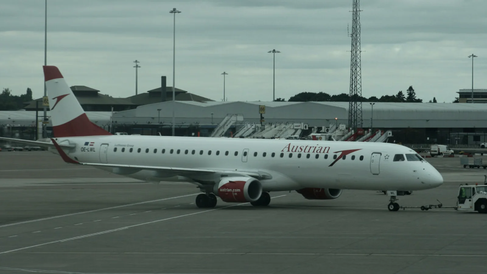 Бір араның кесірінен Австрияда ұшақ рейсі жойылды