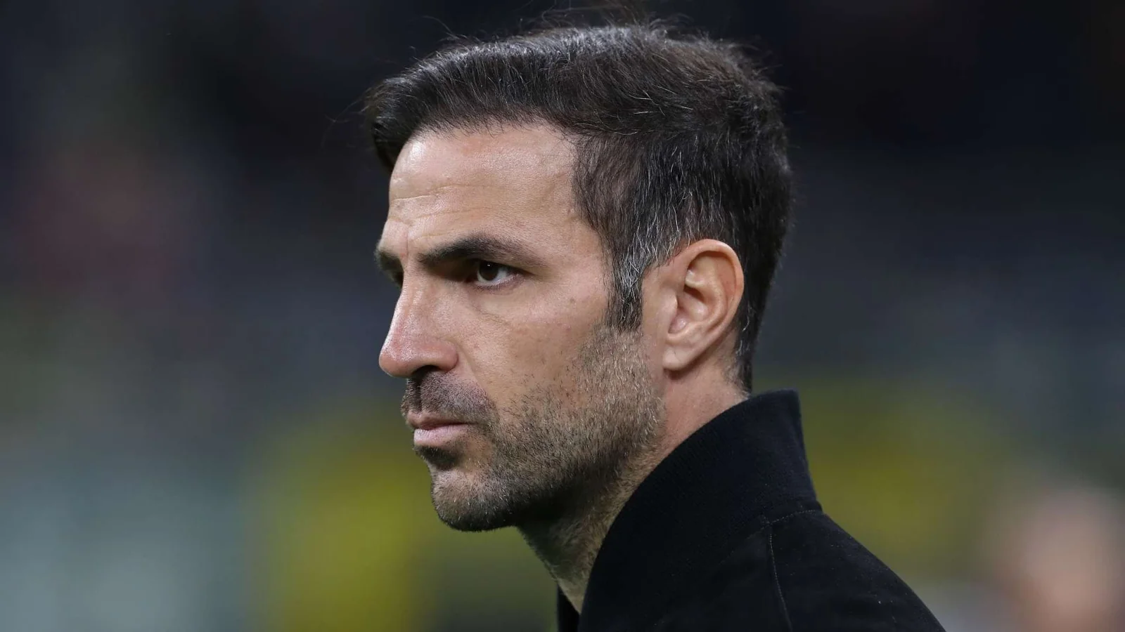 Fabregas «Chelsi» bosh murabbiyligiga asosiy nomzod etib belgilandi