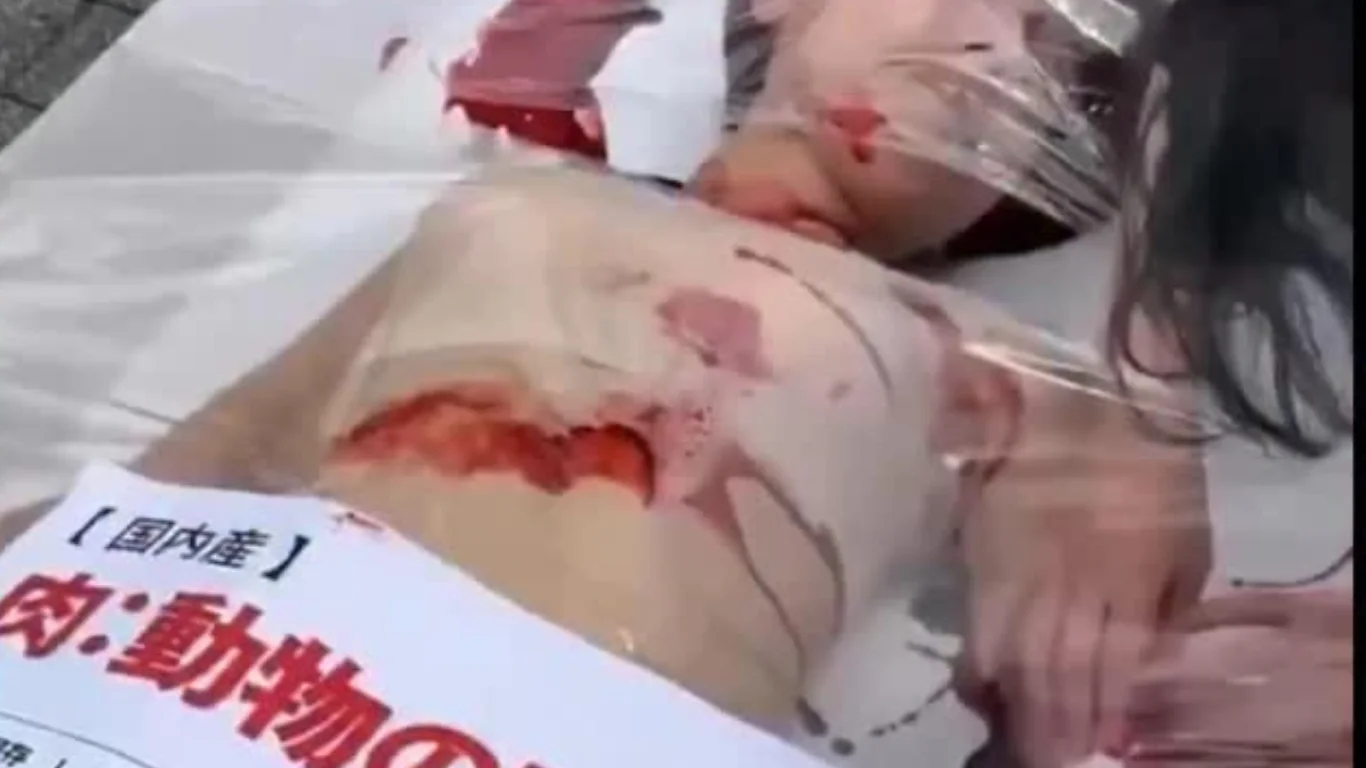 Japanischer Mann wollte auf einem Festival Menschenfleisch kaufen'shtini sotib olmoqchi bo'ldi