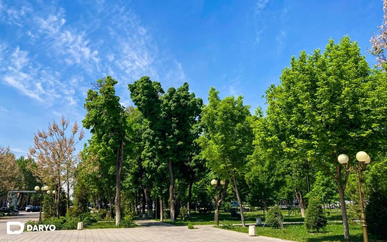 Городской парк с зелеными деревьями и фонарями под голубым небом.