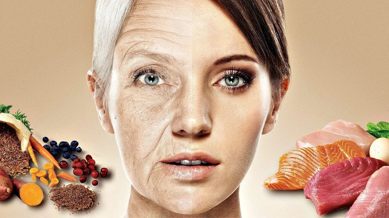 Fat and protein intake may slow down aging