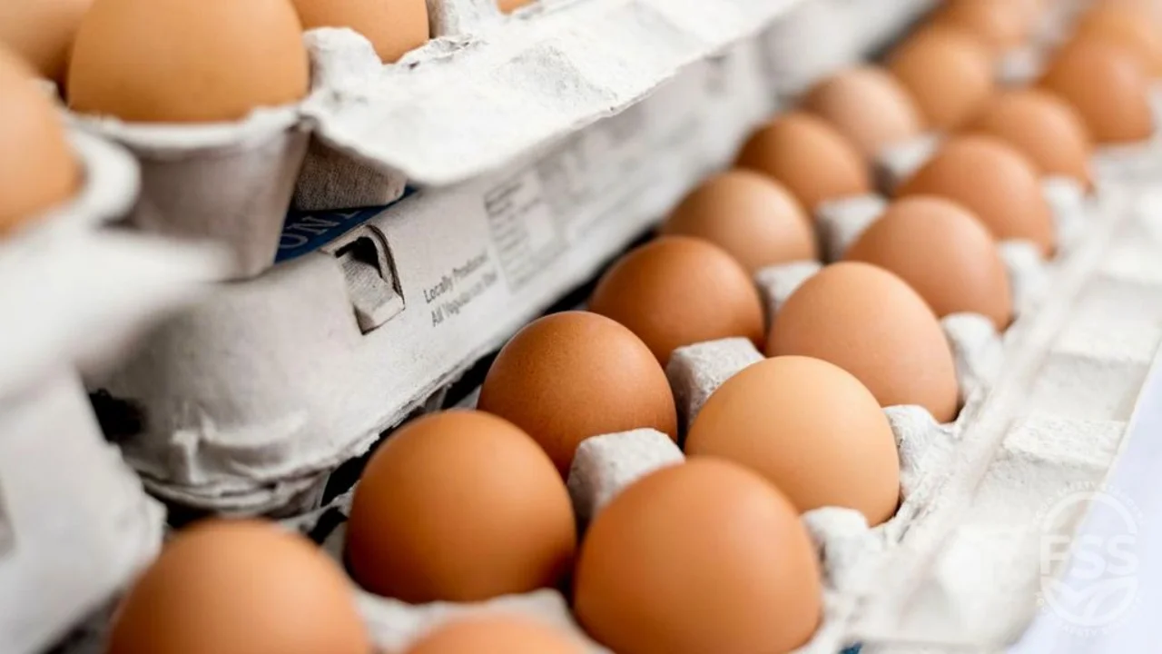 ¿Es seguro comer huevos todos los días?