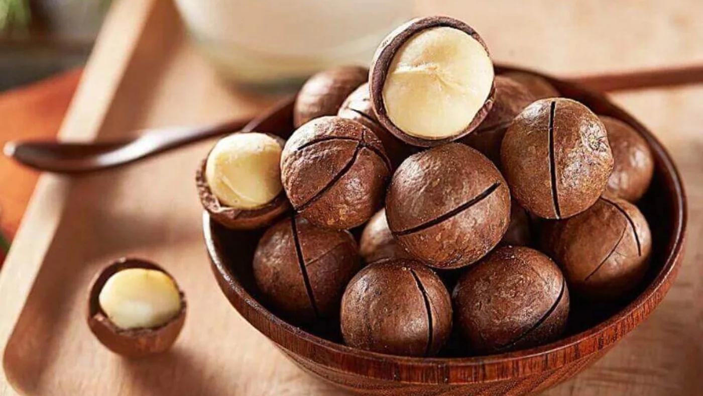 Pourquoi la Macadamia est-elle l'une des noix les plus chères au monde ?