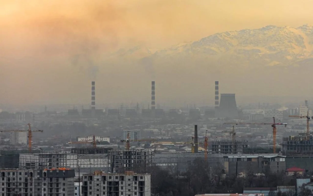 Large Financial Fines Introduced for Environmental Violations