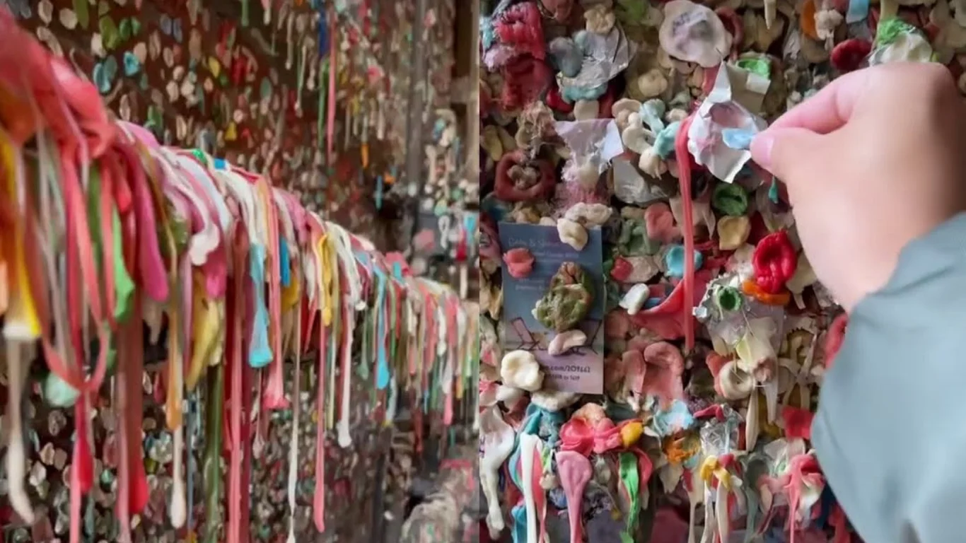Extraordinary gum wall amazes tourists
