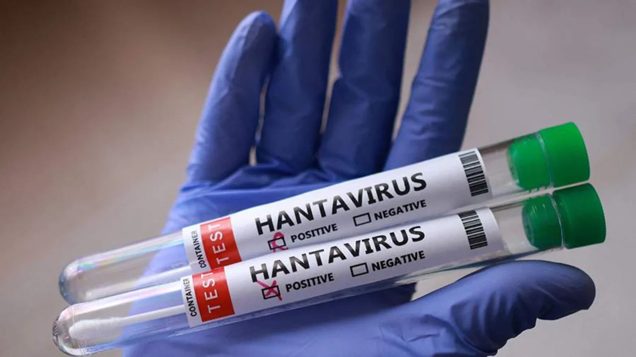 Ärzte bestätigen neuen Hantavirus-Fall in Israel