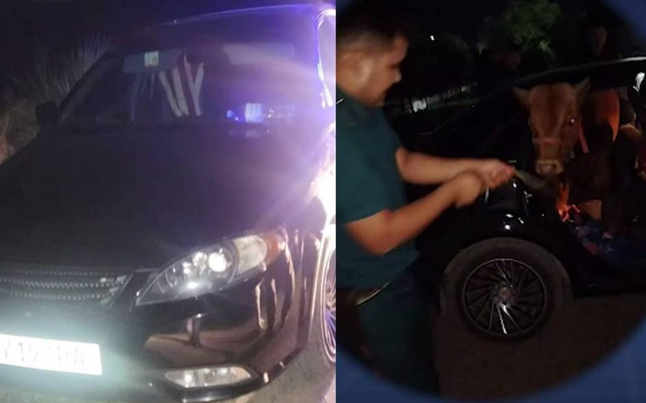 Ichki ishlar xodimi tunda Lacetti mashinasi salonidagi buqani tekshirmoqda.