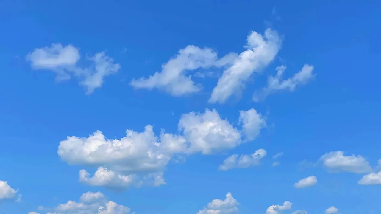 Bluesky konkurriert mit X bei Inhalten in Langform